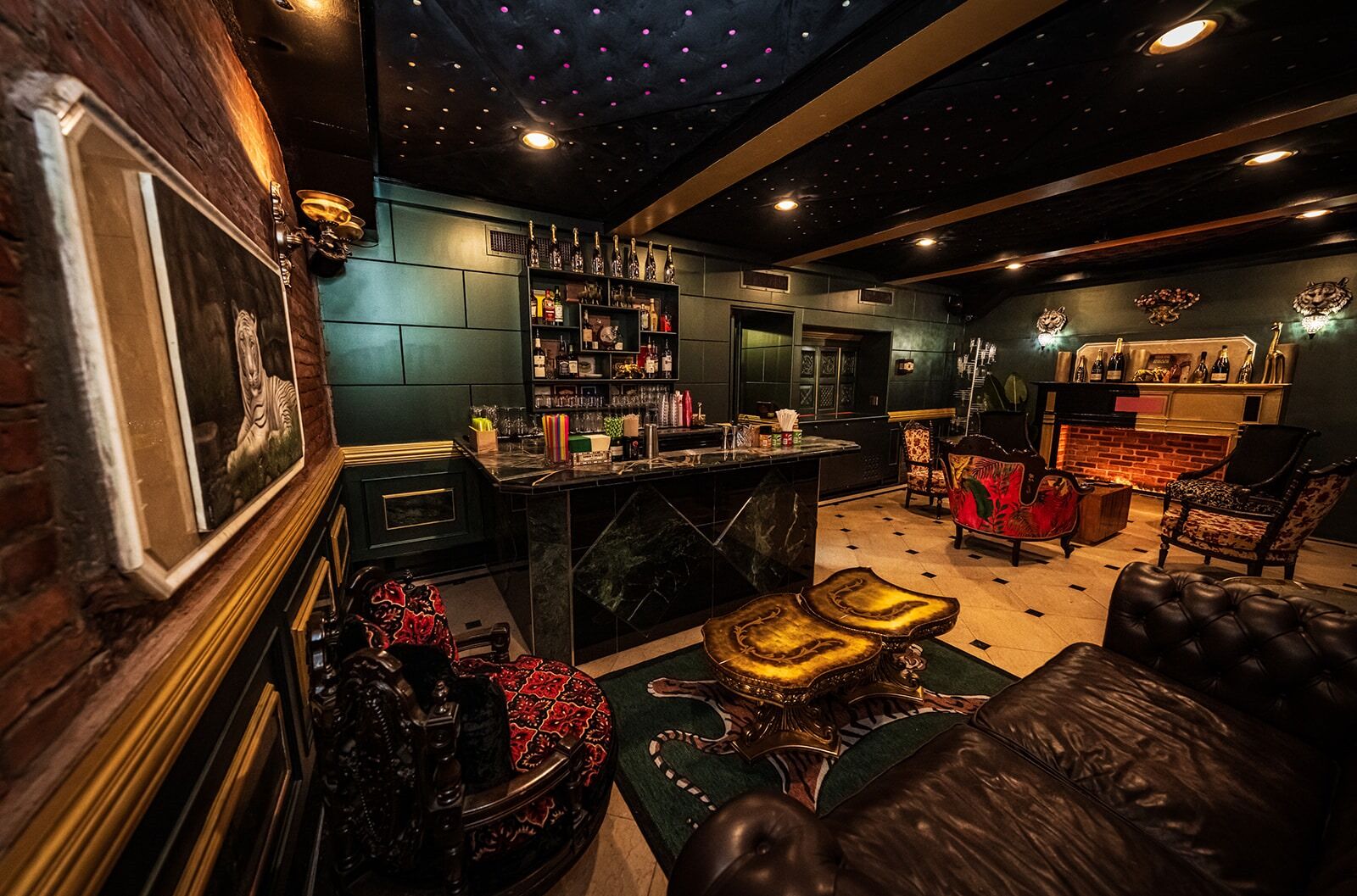 Tiger Room — view 4