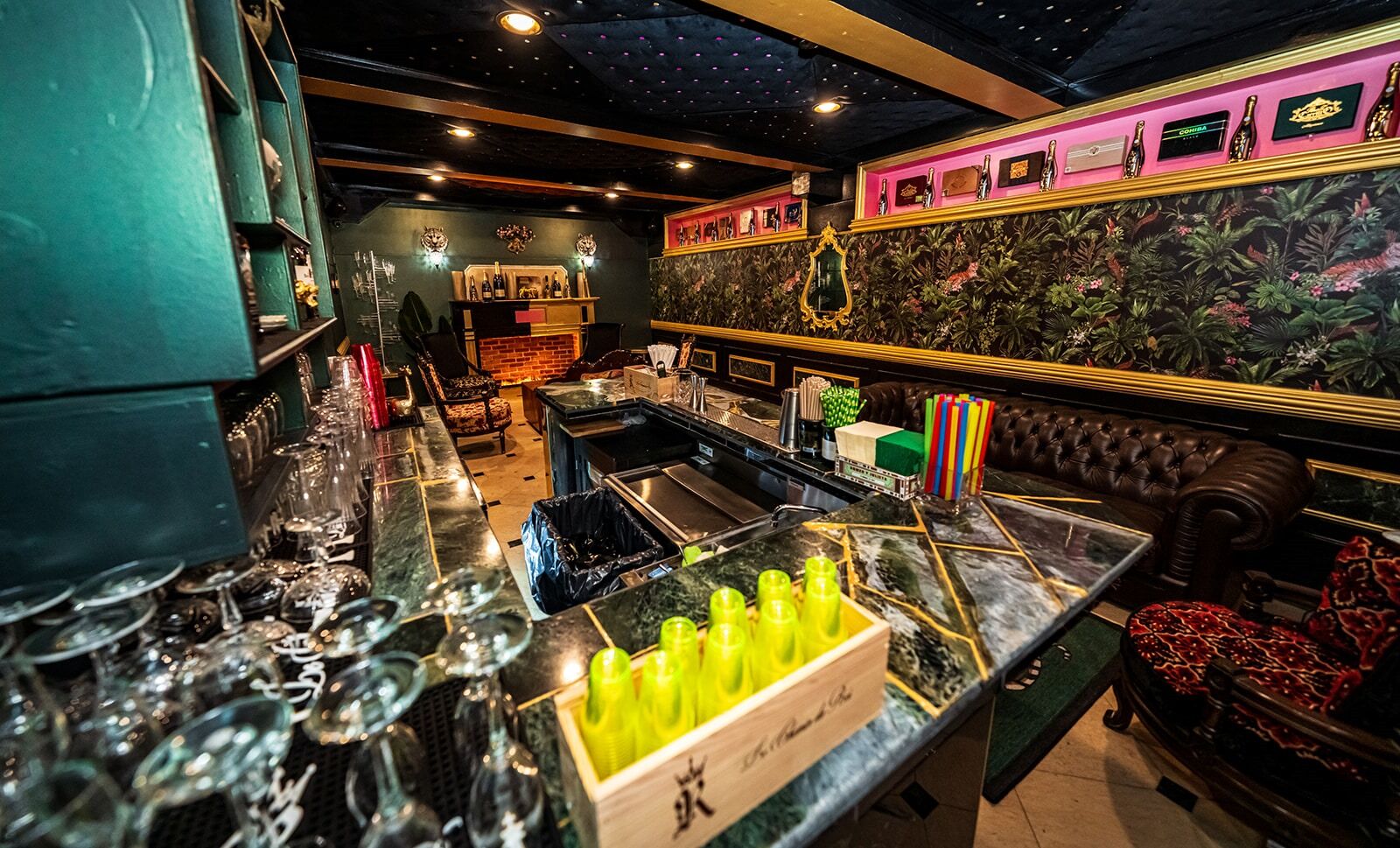 Tiger Room — view 3