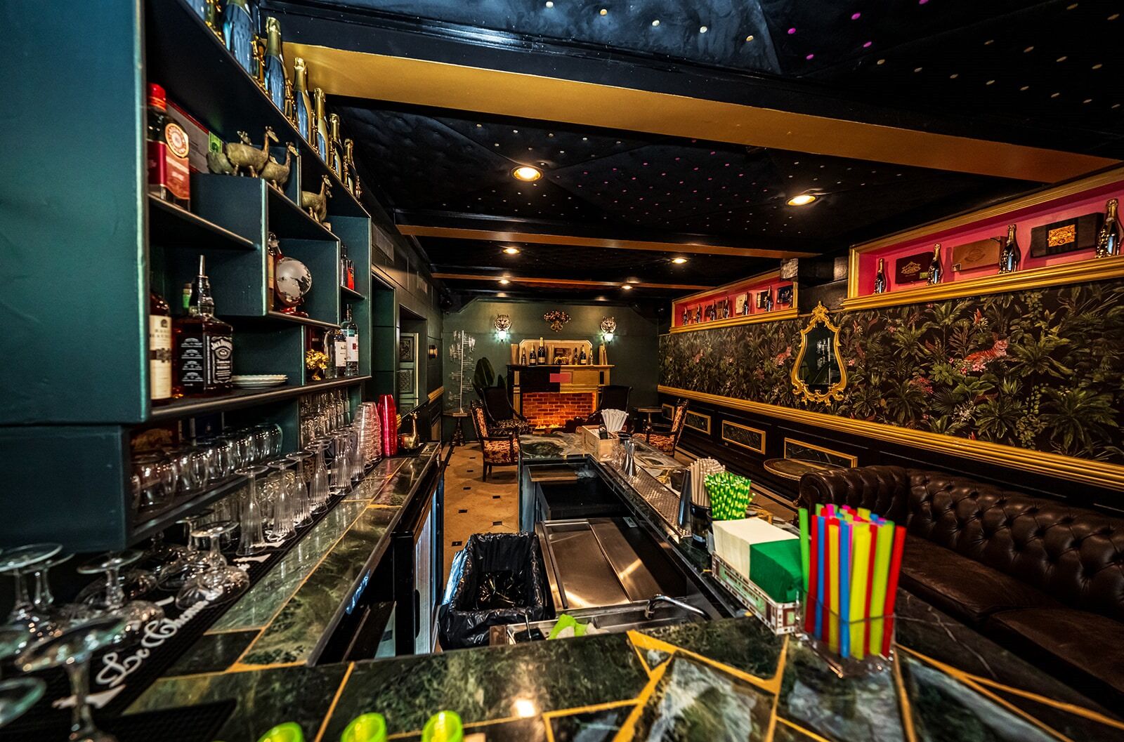 Tiger Room — view 2